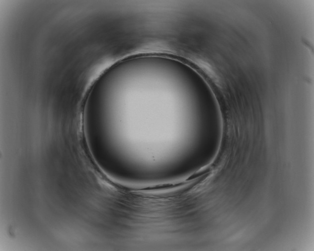 X0000097891366200803141323
