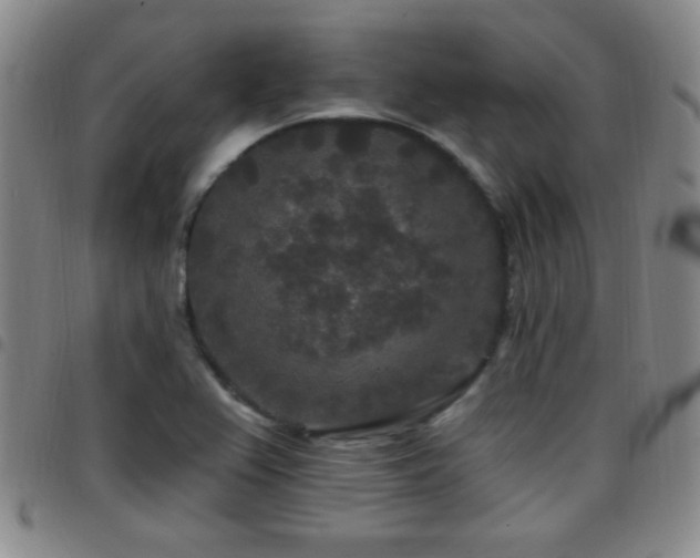 X0000097891367200803141323