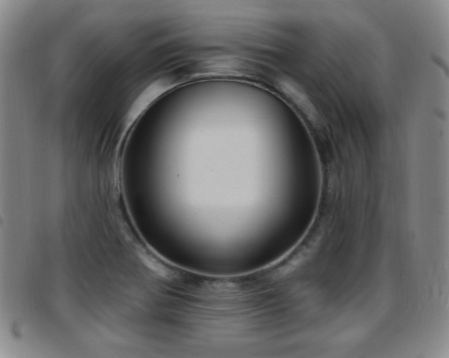 X0000097891370200803141323