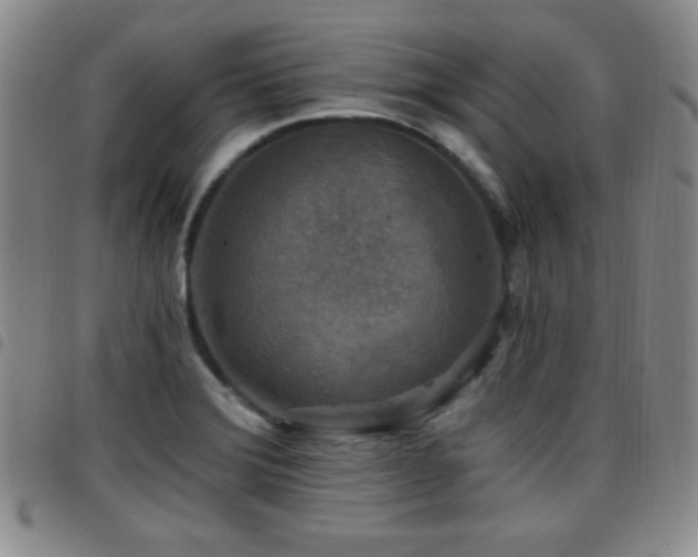 X0000097891372200803141323