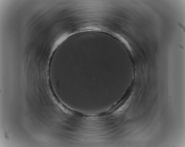 X0000097891373200803141323