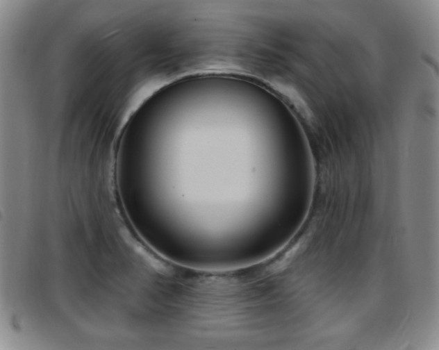 X0000097891374200803141323