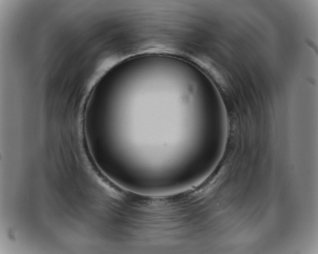 X0000097891375200803141323