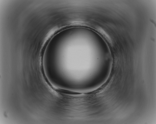 X0000097891376200803141323