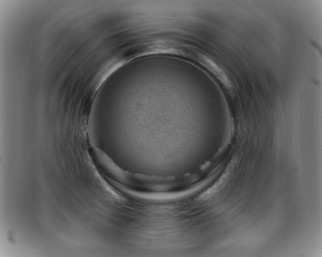 X0000097891377200803141323
