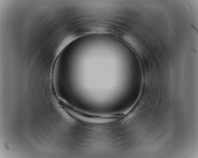 X0000097891378200803141323
