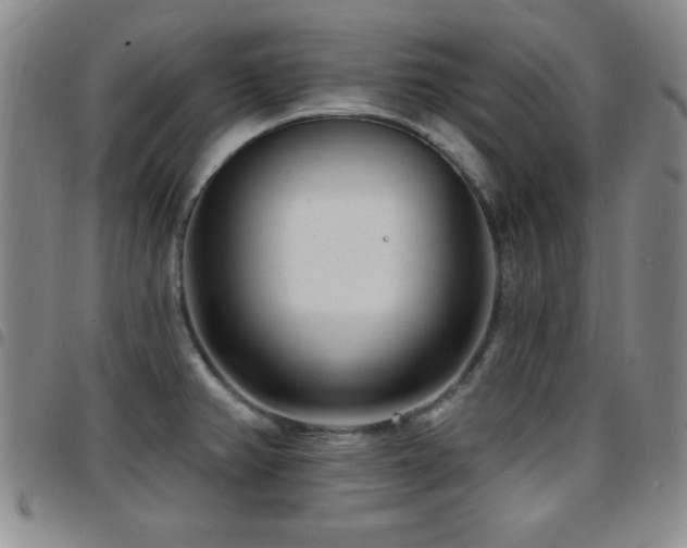 X0000097891382200803141323