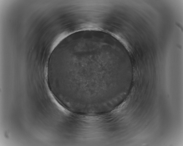 X0000097891383200803141323