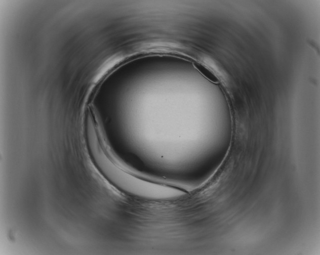 X0000097891384200803141323