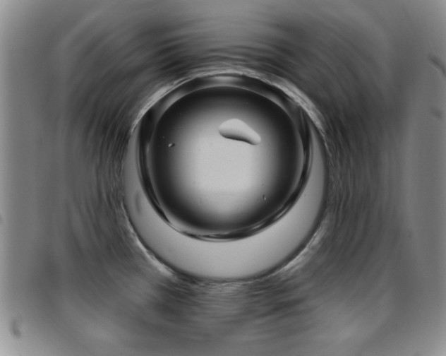 X0000097891385200803141323