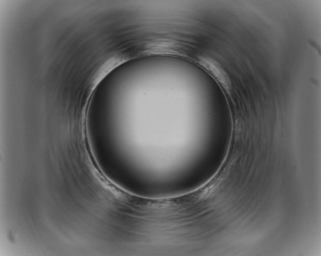 X0000097891386200803141323