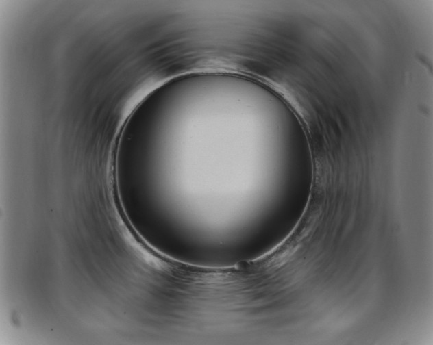 X0000097891387200803141323