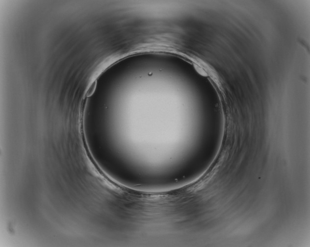 X0000097891390200803141323