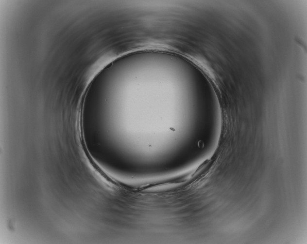 X0000097891391200803141323