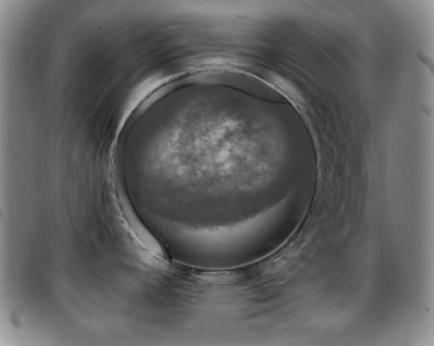 X0000097891392200803141323