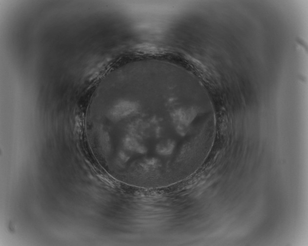 X0000097891397200803141322