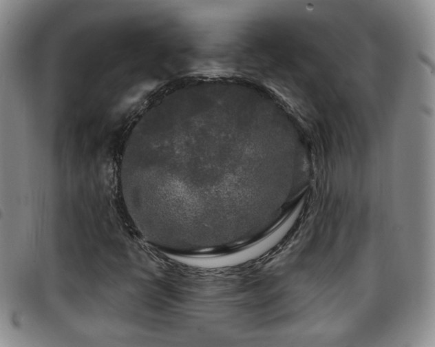 X0000097891398200803141322