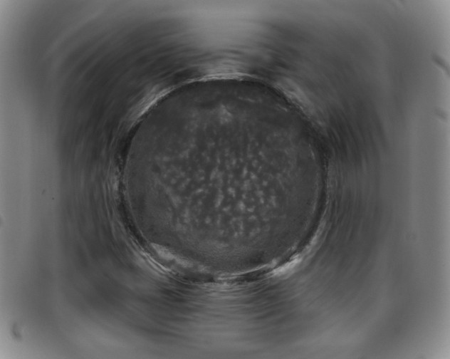 X0000097891401200803141323