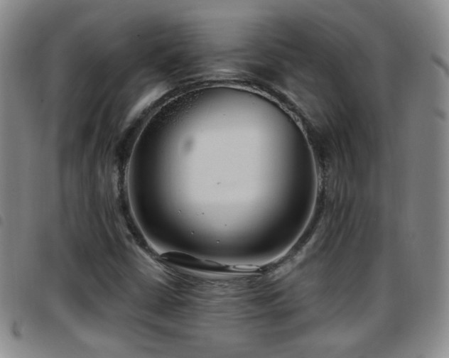 X0000097891402200803141323