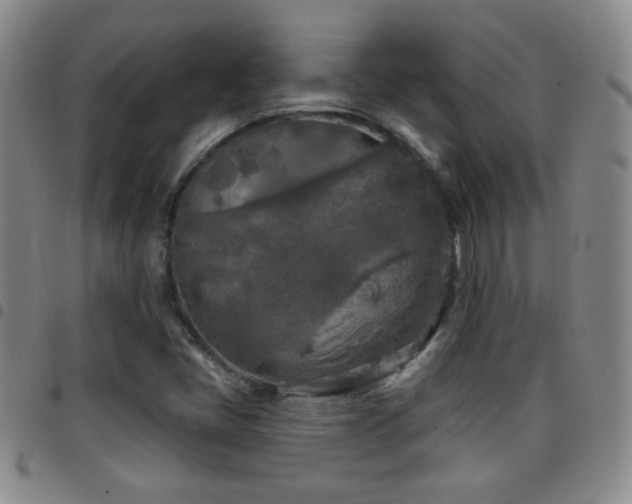 X0000097891405200803141323