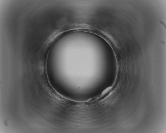X0000097891407200803141323