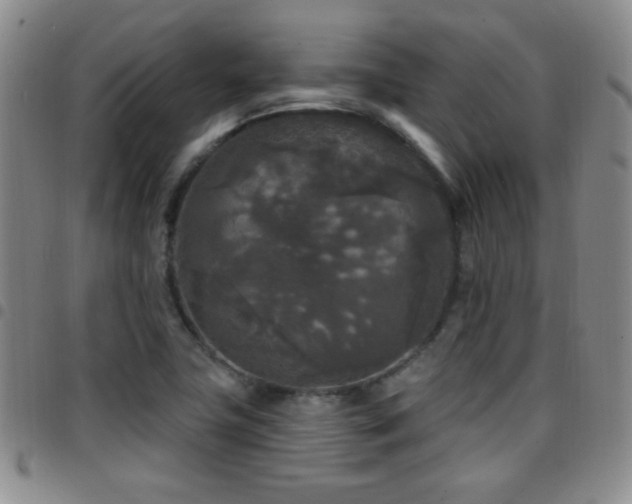 X0000097891411200803141323