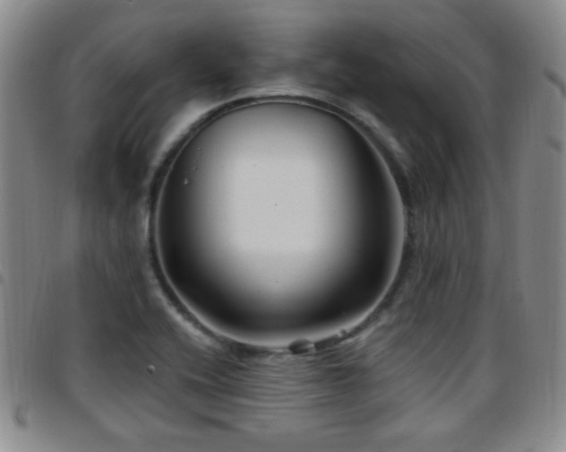X0000097891416200803141323
