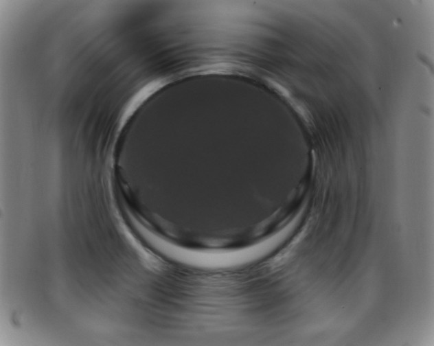 X0000097891418200803141323