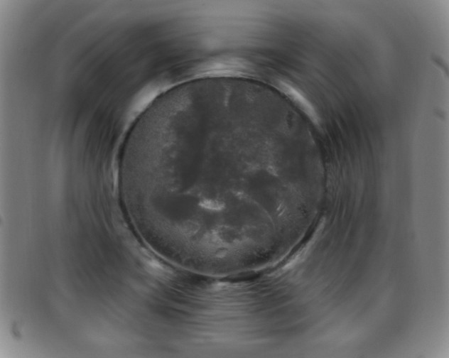 X0000097891419200803141323
