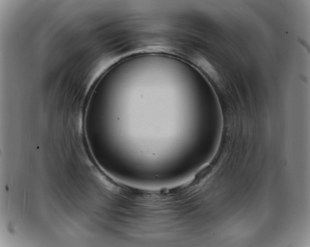 X0000097891420200803141323