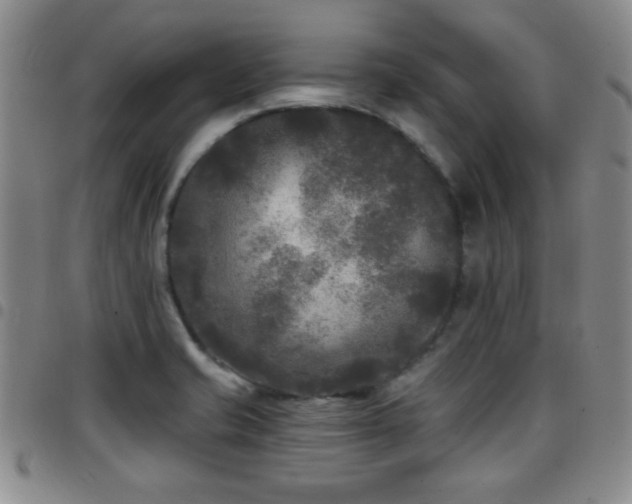 X0000097891421200803141323