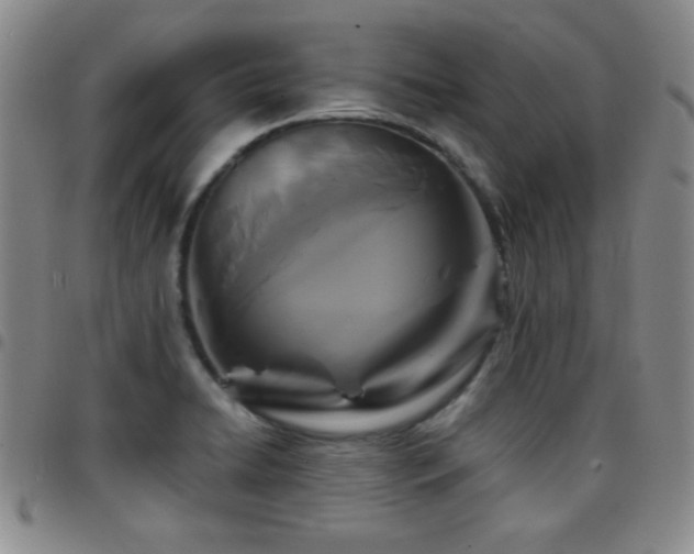 X0000097891422200803141323