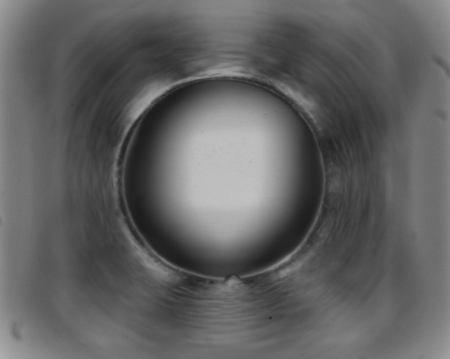 X0000097891423200803141323