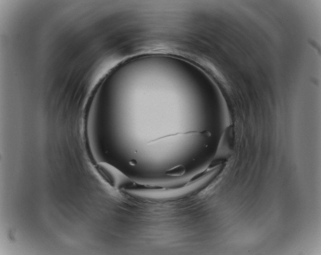 X0000097891424200803141323