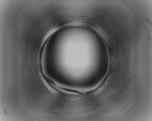 X0000097891426200803141323