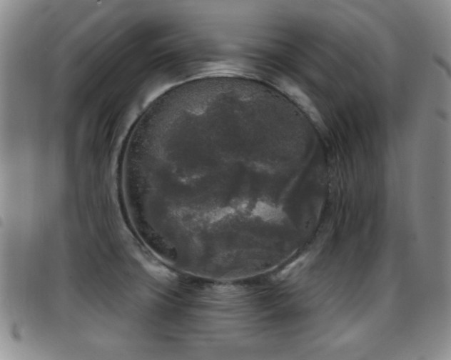 X0000097891427200803141323