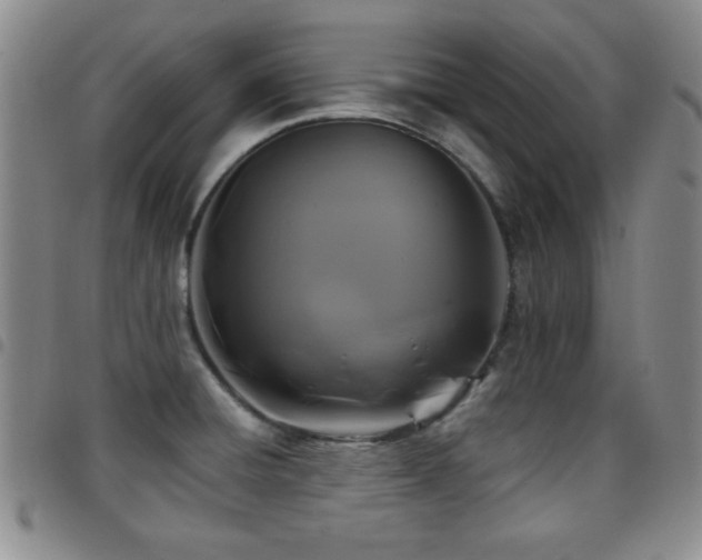 X0000097891428200803141323