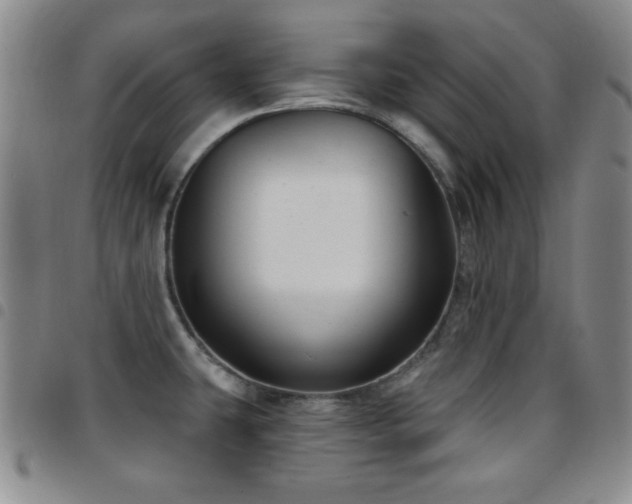 X0000097891431200803141323