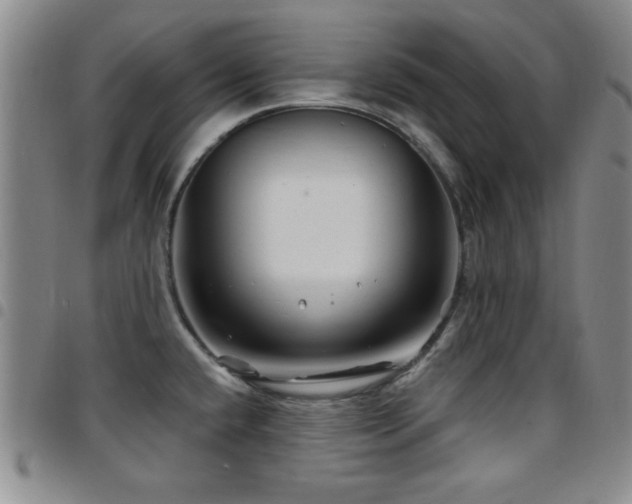 X0000097891432200803141323