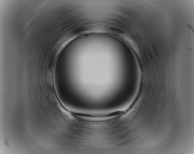 X0000097891433200803141323