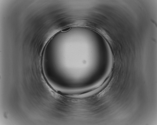 X0000097891434200803141323