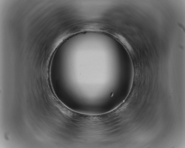 X0000097891435200803141323