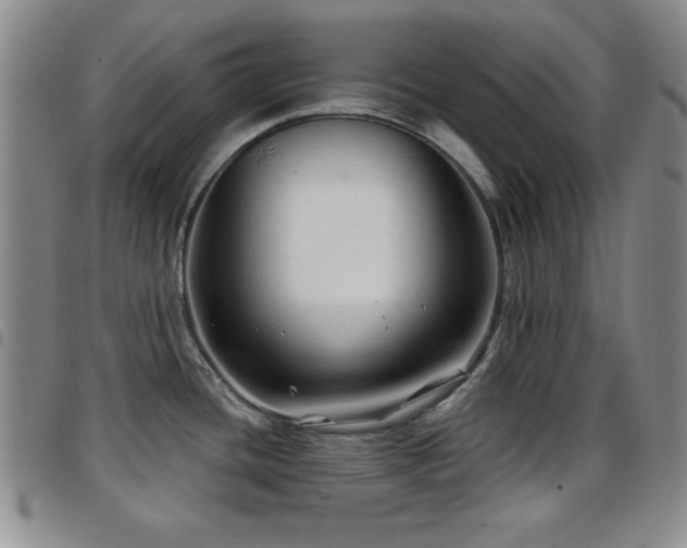 X0000097891436200803141323
