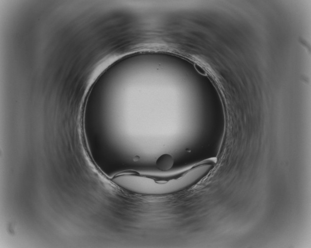 X0000097891440200803141323