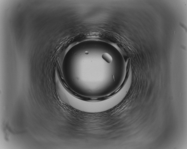 X0000097891441200803141322