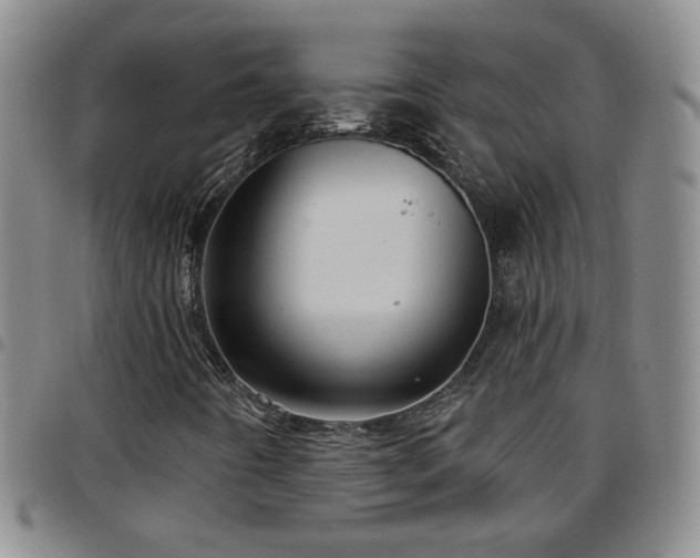 X0000097891442200803141322