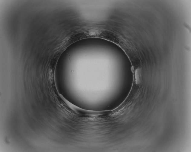X0000097891443200803141322