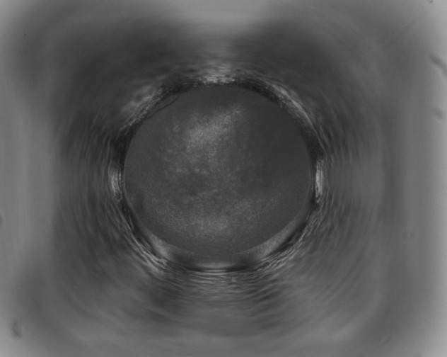 X0000097891444200803141322