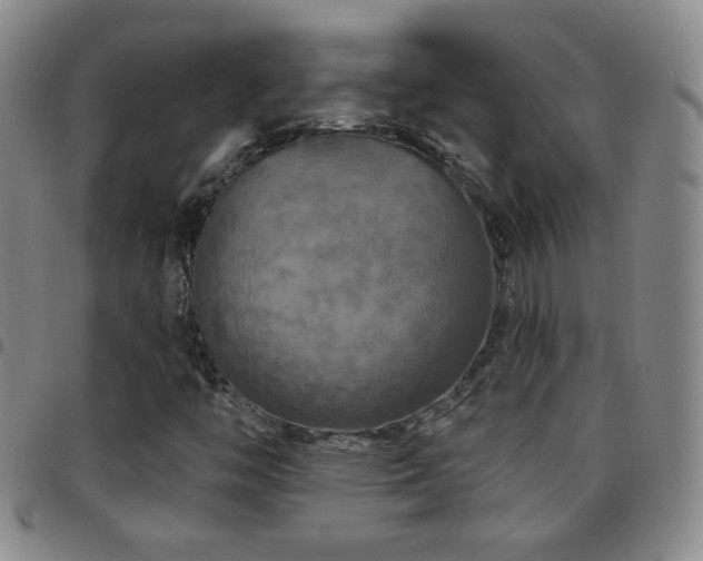 X0000097891446200803141322