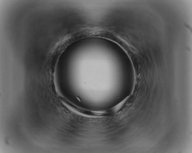 X0000097891447200803141322